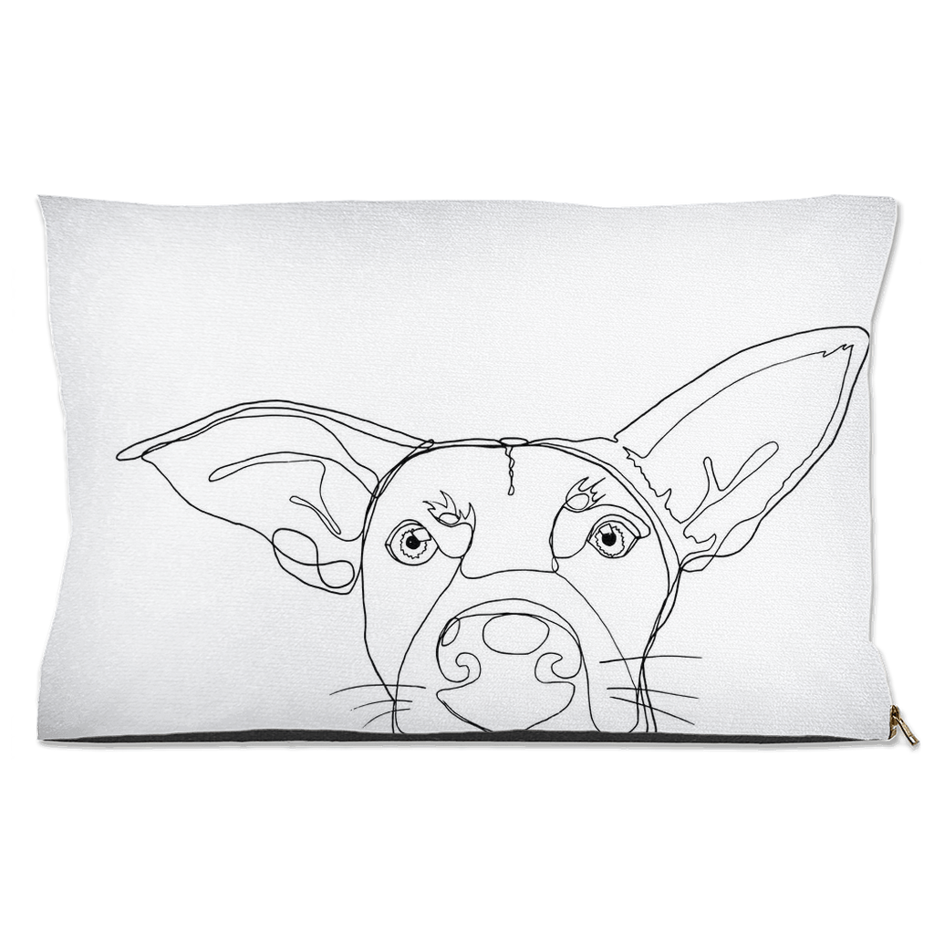 Premium Dog Beds