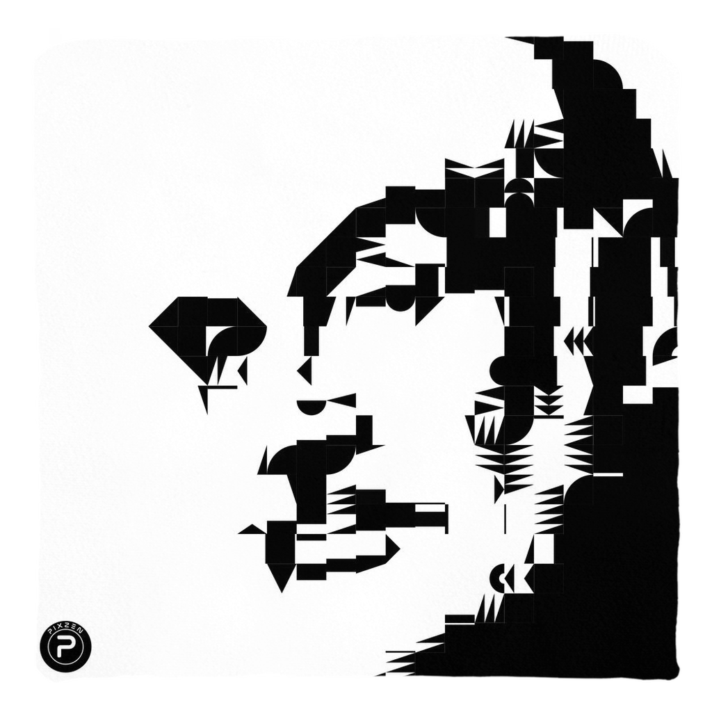 Throw Pillows - Typoart - CONNERY