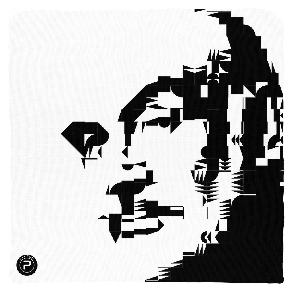 Throw Pillows - Typoart - CONNERY